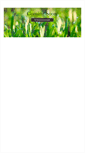 Mobile Screenshot of catalex.com
